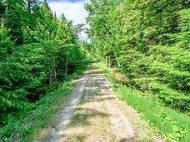 Land for sale in Waterford, Maine