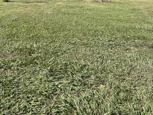 Land for sale in Toombul, Queensland