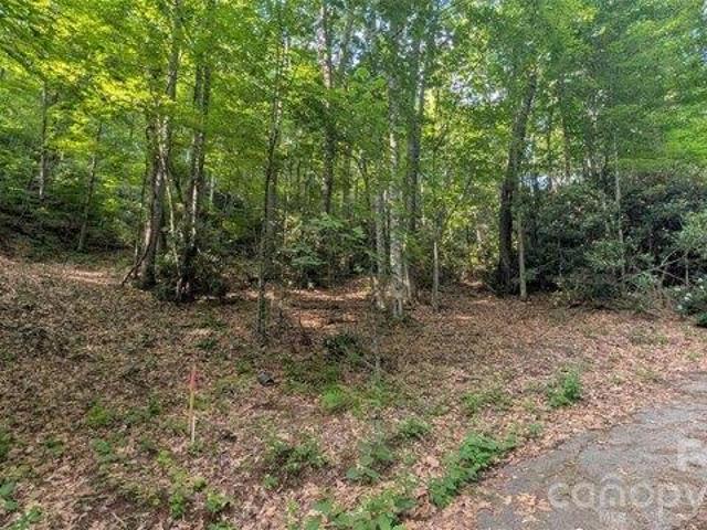 Land for sale in Haywood, North Carolina