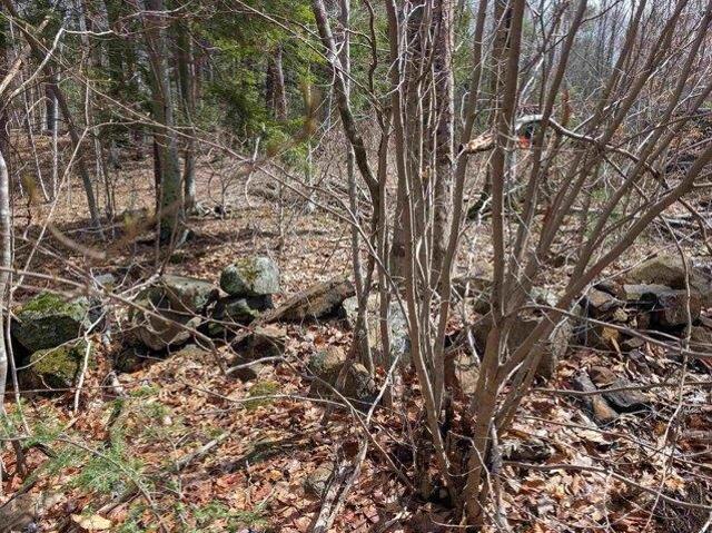 Land for sale in New Hampshire