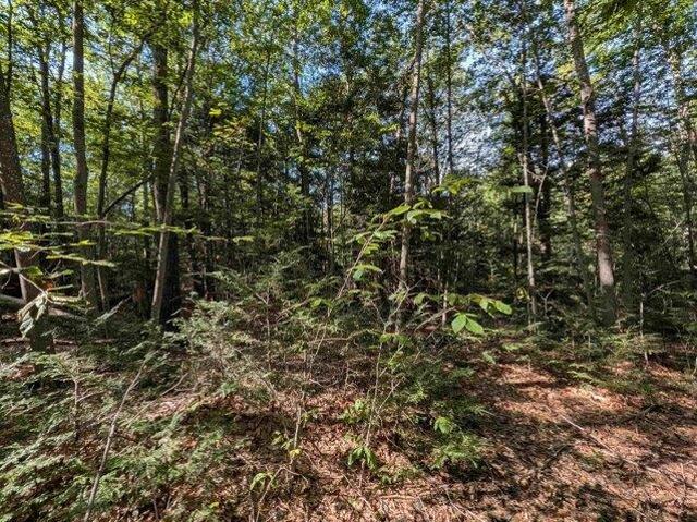 Land for sale in New Hampshire