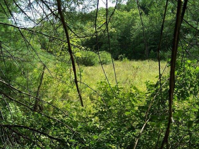 Land for sale in Weare, Hillsborough County