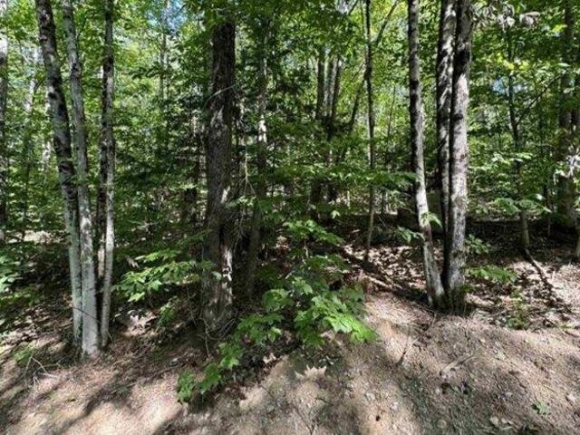 Land for sale in New Hampshire
