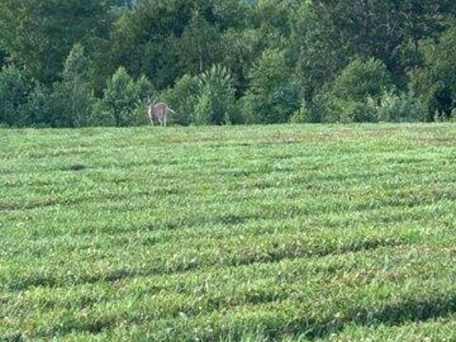 Land for sale in New Hampshire