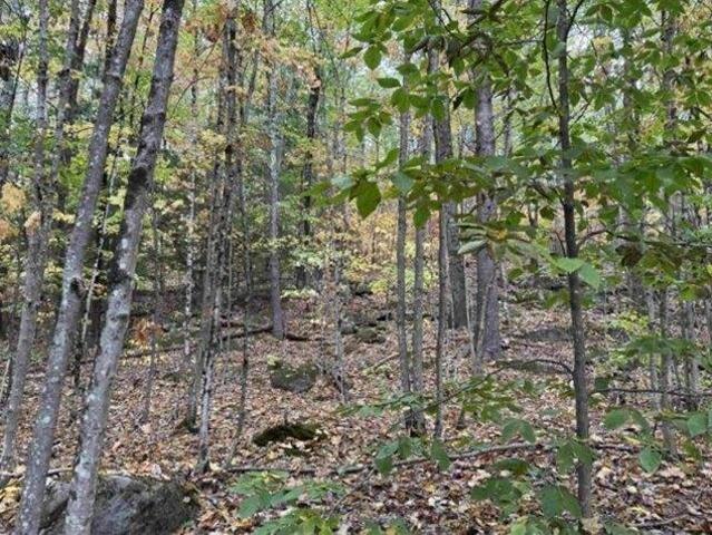 Land for sale in New Hampshire
