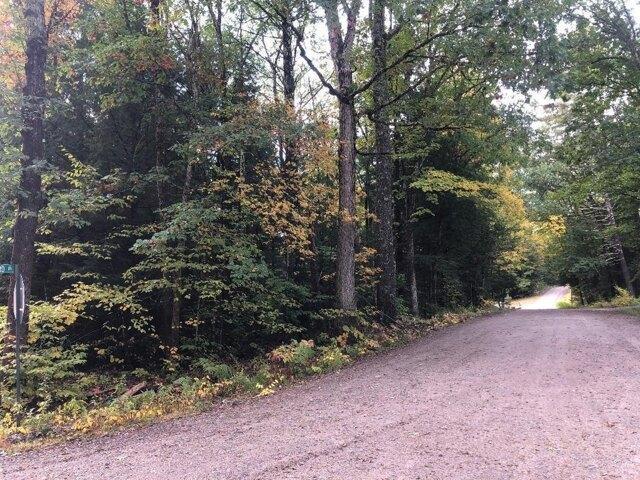 Land for sale in Dingit Corner, Webster
