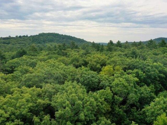 Land for sale in Webster, Merrimack County