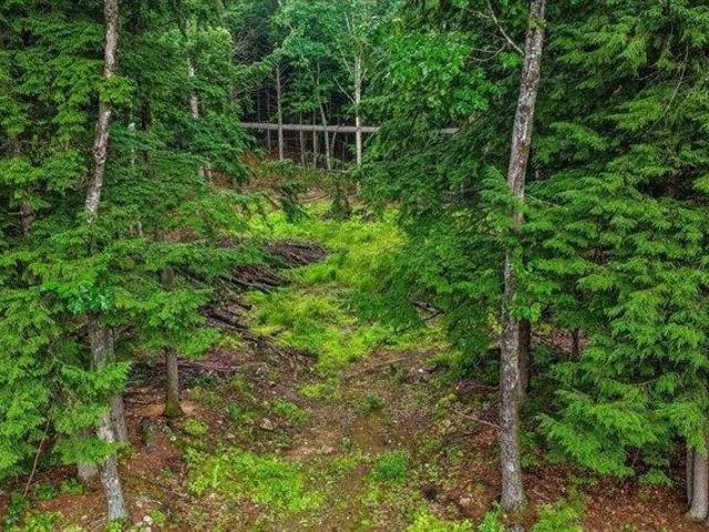 Land for sale in Dingit Corner, Webster