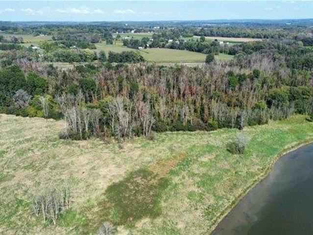 Land for sale in Cayuga, New York