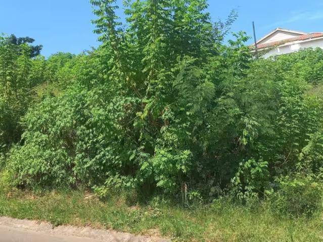 Land for sale