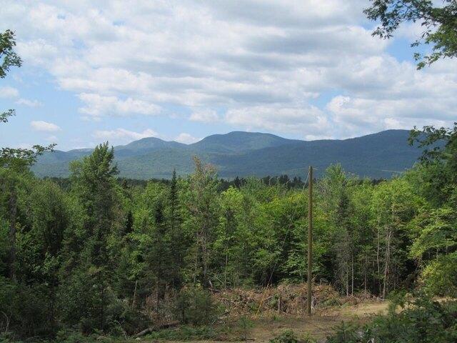 Land for sale in Weld, Maine