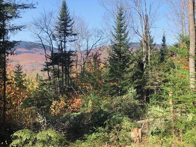 Land for sale in Weld, Maine