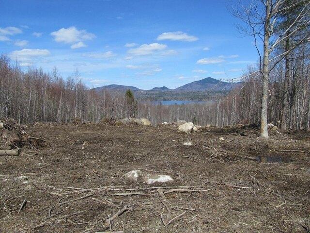 Land for sale in Weld, Maine