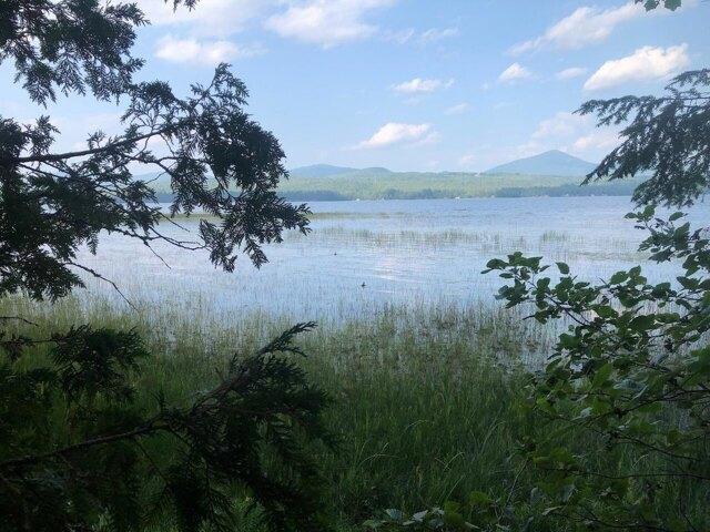 Land for sale in Weld, Maine
