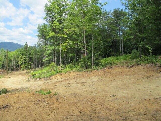 Land for sale in Weld, Maine