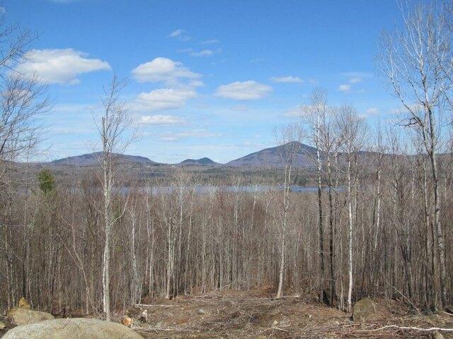 Land for sale in Weld, Maine