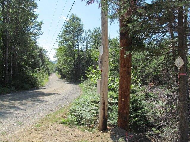 Land for sale in Weld, Maine