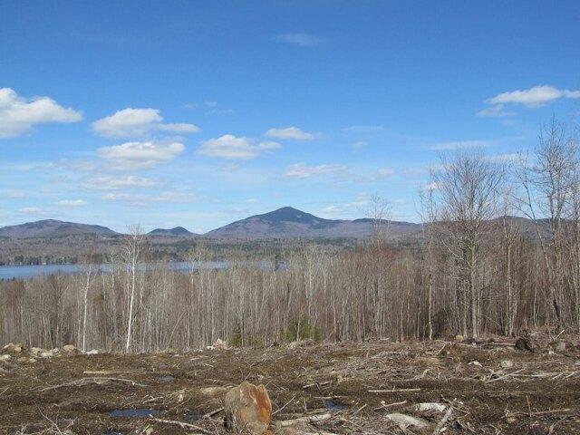 Land for sale in Weld, Maine
