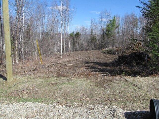 Land for sale in Weld, Maine