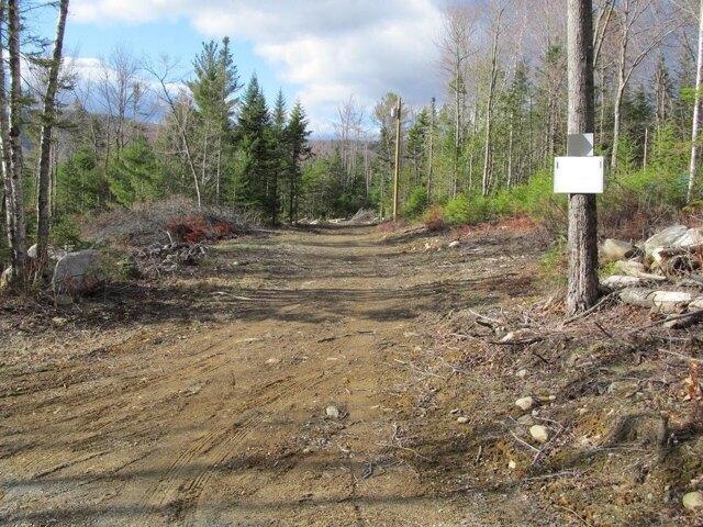 Land for sale in Weld, Maine