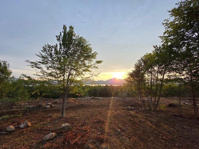 Land for sale in Weld, Maine