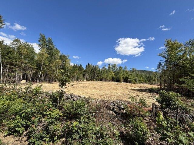 Land for sale in Weld, Franklin County