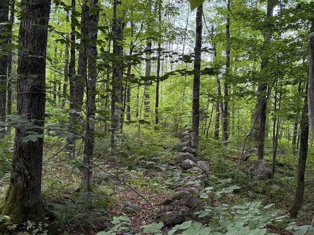Land for sale in Chase Corner, Weld