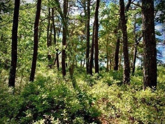 Land for sale in Wellfleet, Barnstable County