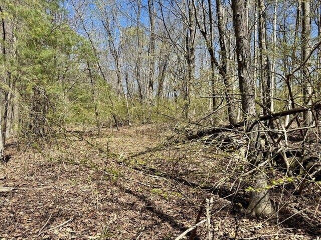 Land for sale in West Boylston, Massachusetts
