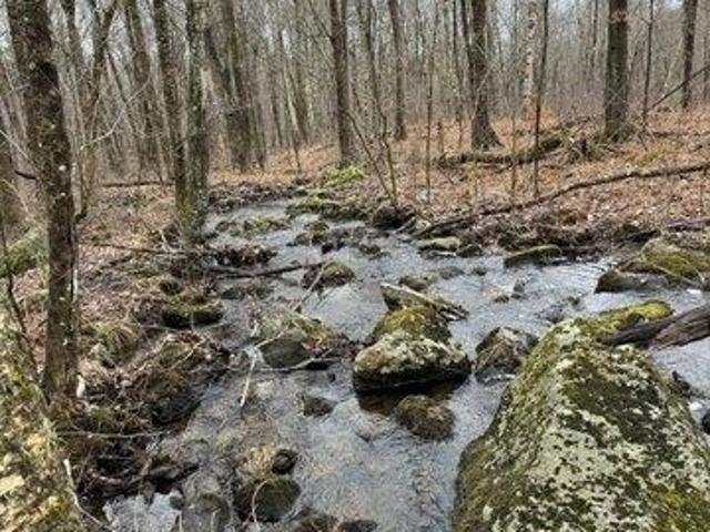 Land for sale in West Brookfield, Massachusetts