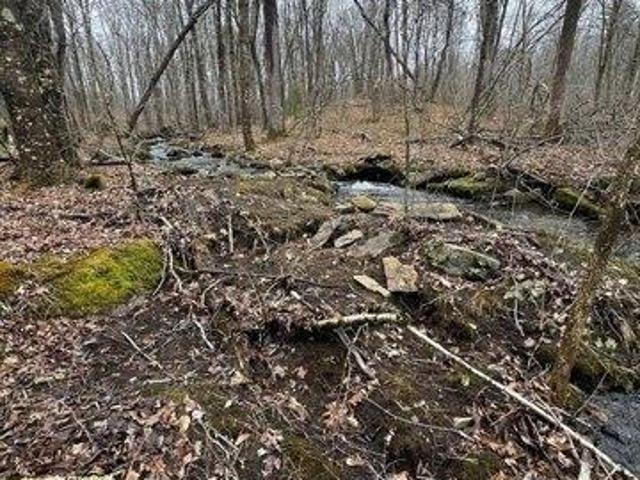 Land for sale in West Brookfield, Massachusetts