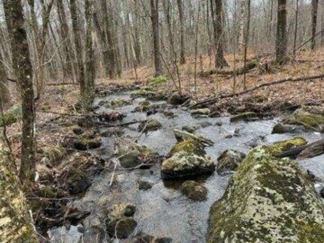 Land for sale in West Brookfield, Worcester County