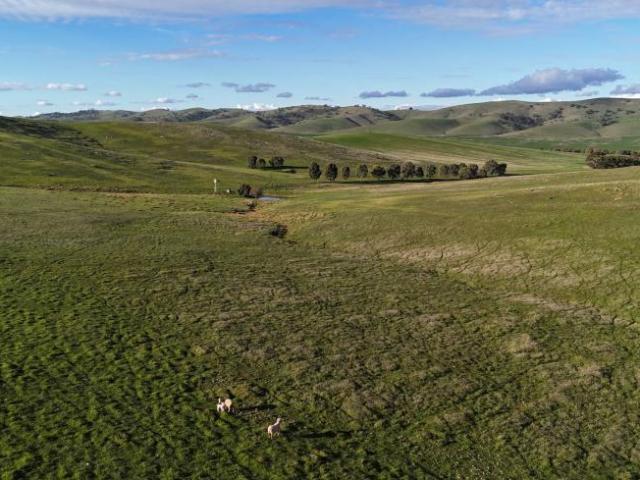 Land for sale in West Bundaleer, Northern Areas Council