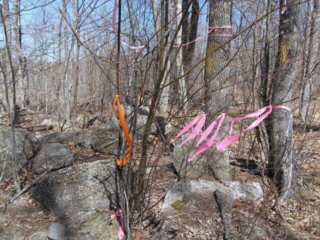 Land for sale in West Paris, Maine