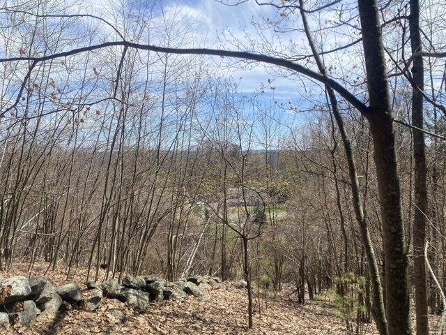 Land for sale in Westminster, Worcester County