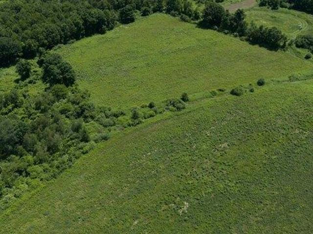 Land for sale in Putney, Vermont