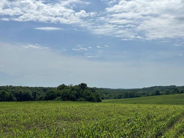 Land for sale in Westmoreland