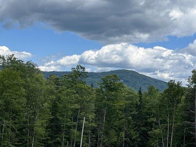 Land for sale in Weston, Vermont