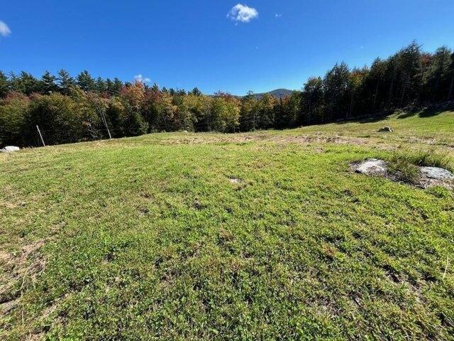 Land for sale in Weston, Windsor County