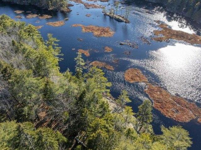 Land for sale in Maine