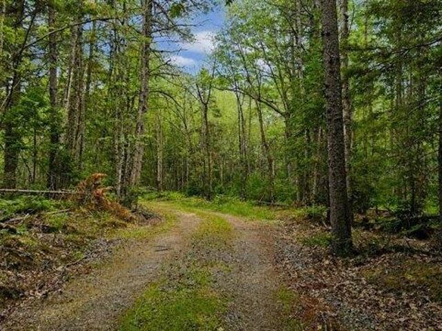 Land for sale in Maine