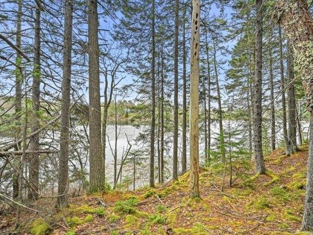 Land for sale in Maine