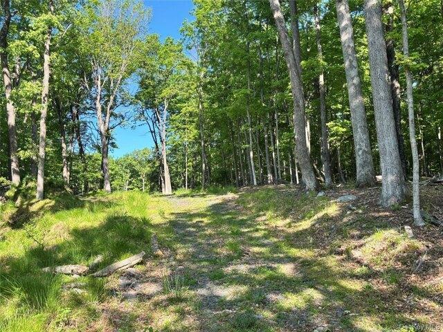 Land for sale in New York