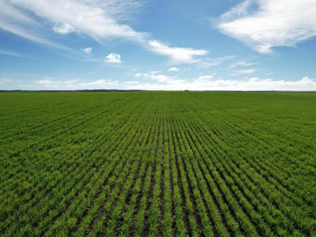 Land for sale in White Hut, Yorke Peninsula Council
