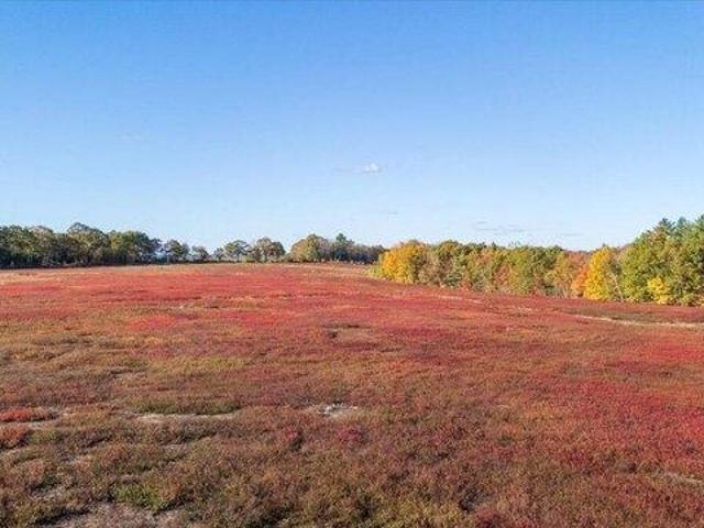 Land for sale in Whitefield, Maine