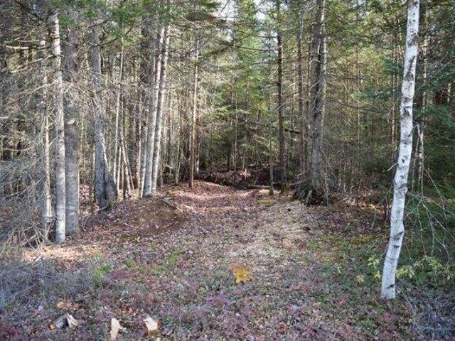 Land for sale in New Hampshire