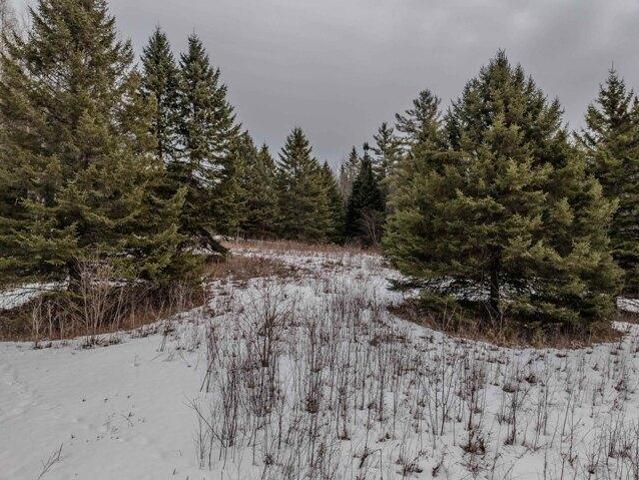 Land for sale in New Hampshire