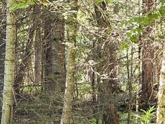 Land for sale in New Hampshire
