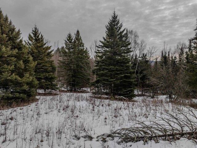 Land for sale in New Hampshire