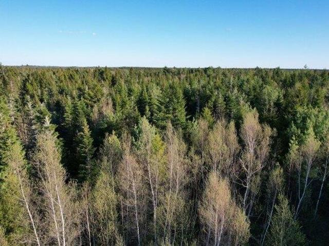 Land for sale in Whiting, Maine